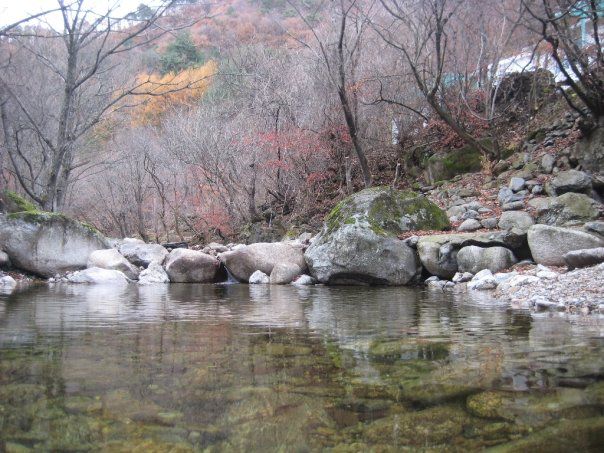 계곡 사진
